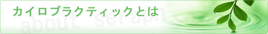 ヒーリングセラフ-カイロプラクティックとは